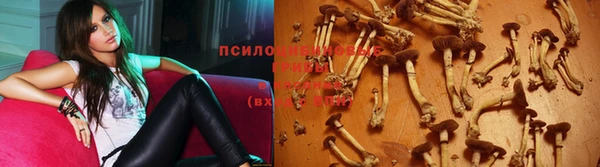 каннабис Алзамай