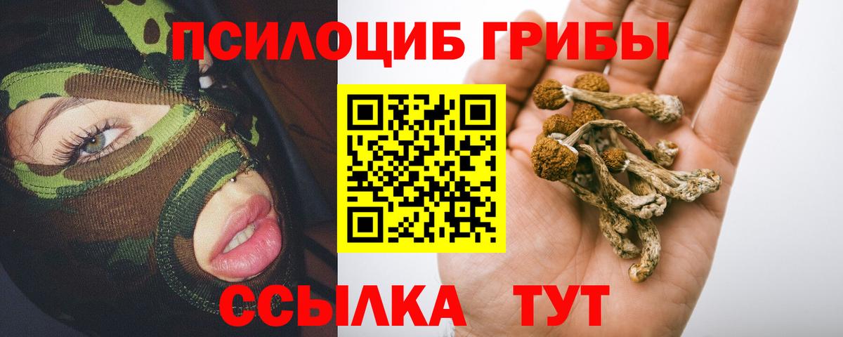 Галлюциногенные грибы MAGIC MUSHROOMS  Вход с VPN  Ступино 